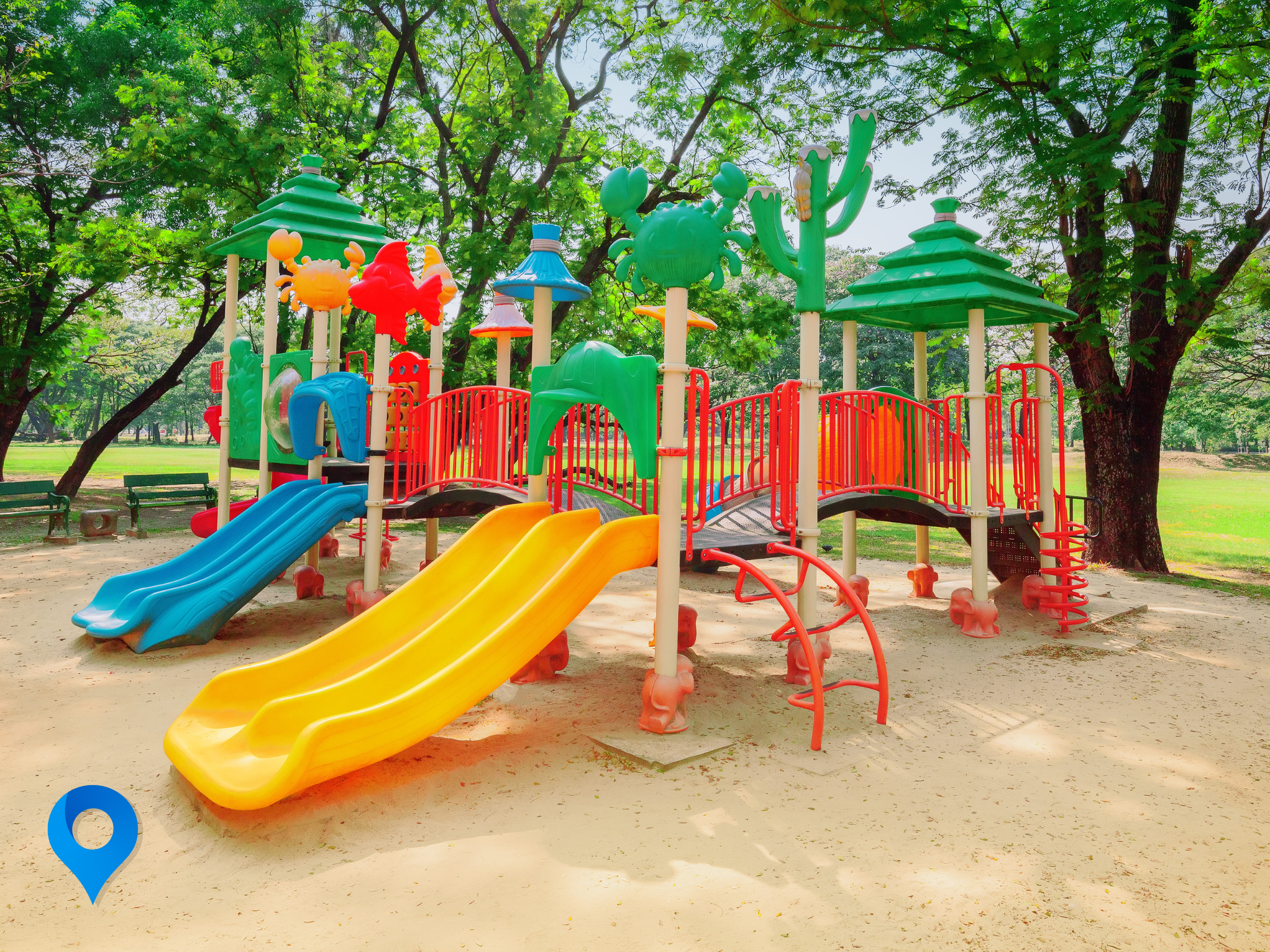 Exploring Murfreesboro's Parks: A Gateway to Nature and Recreation