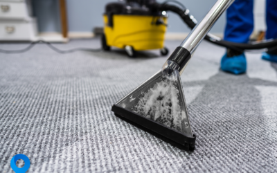 The Ultimate Carpet Cleaning Schedule: Keep Your Carpets Fresh and Long-Lasting