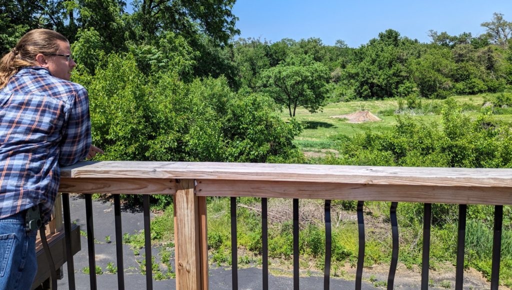 Timothy Fonfara looks out over the land he manages as The Omaha Urban Farmer.