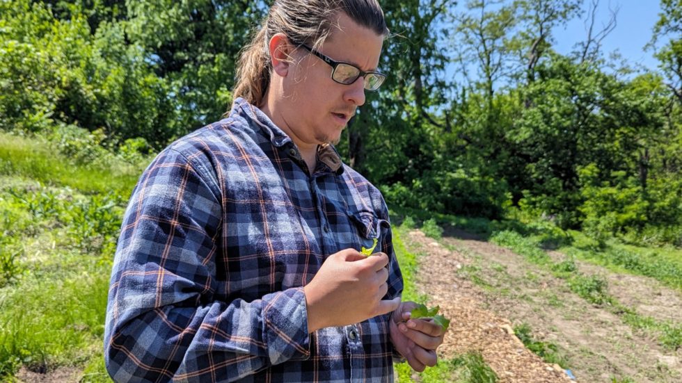 The Omaha Urban Farmer Cultivates Crops and Connection to Naure