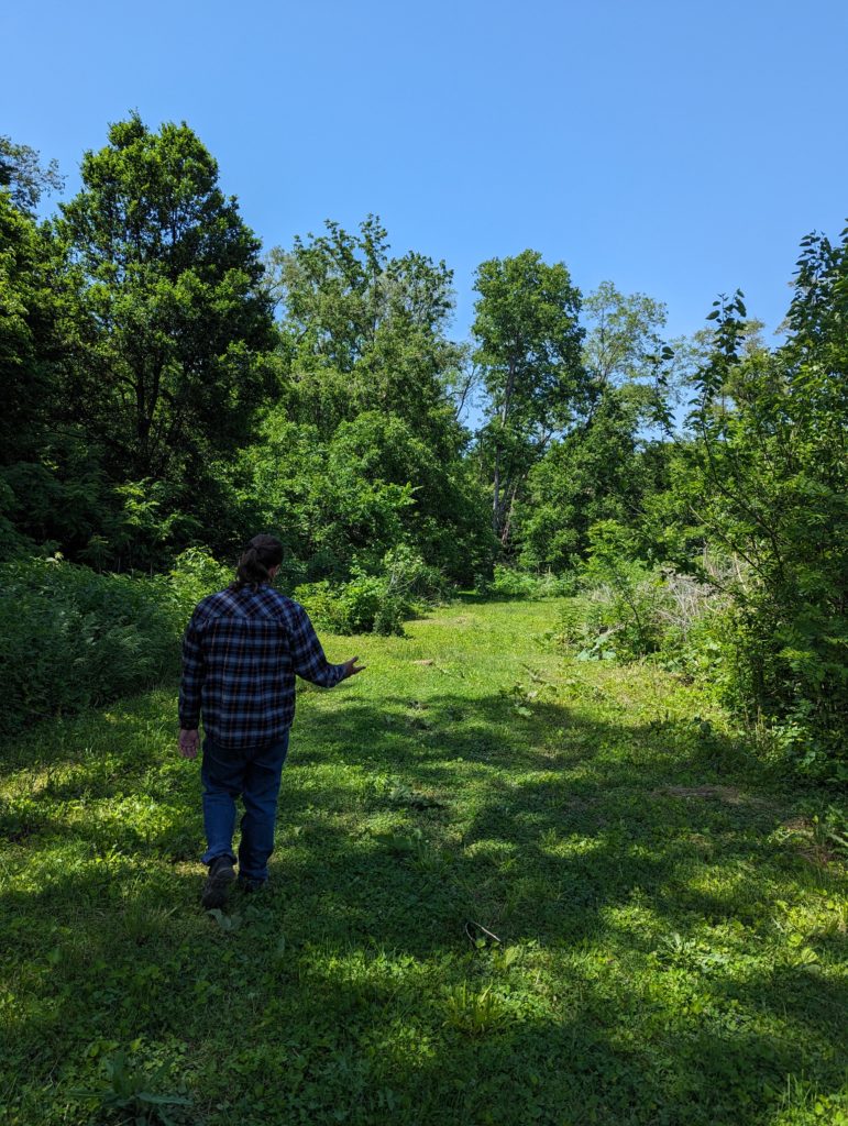 Image of a man's back as he walks towards a vast wooded area