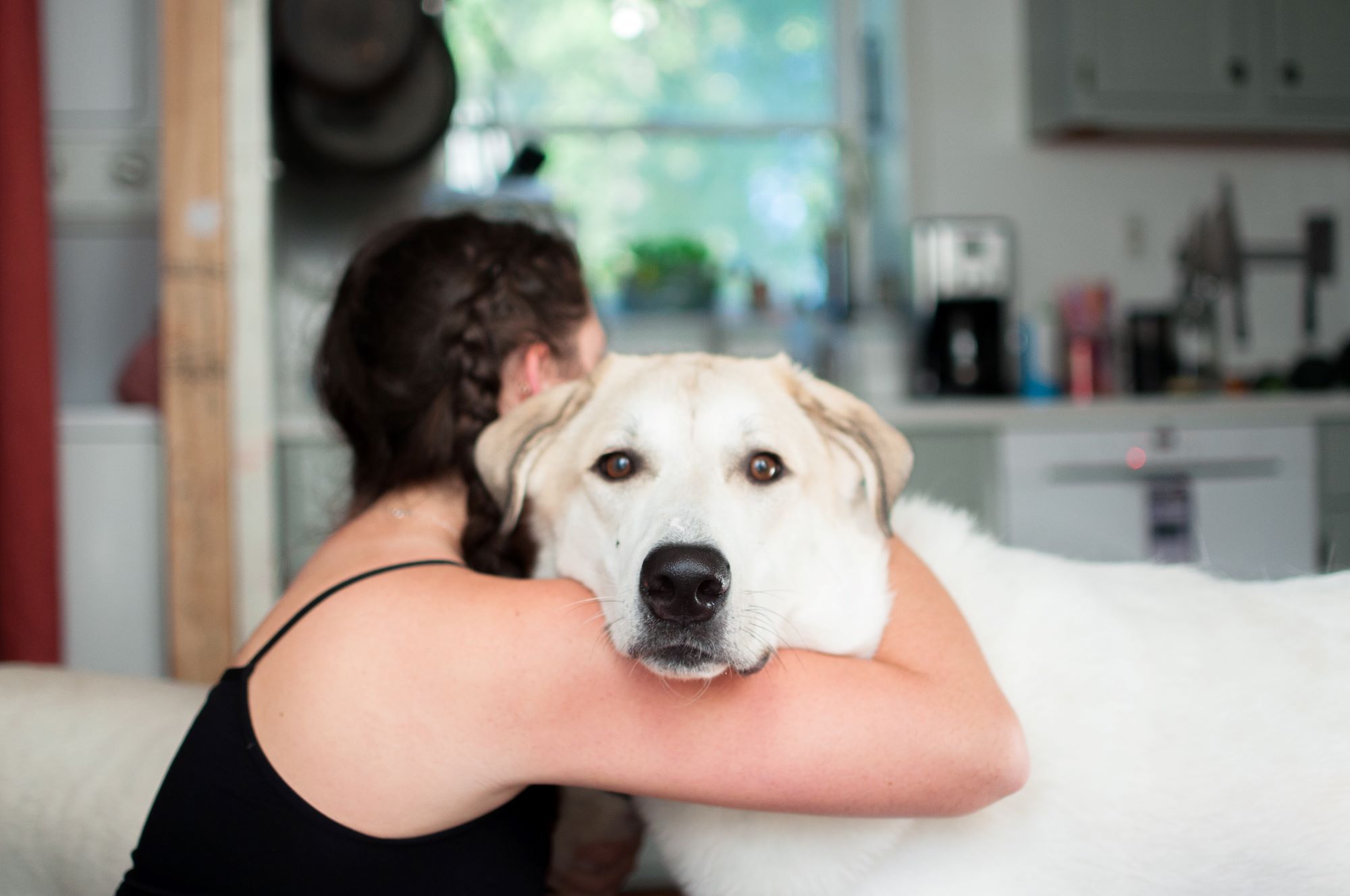 Coping with Grief After Losing a Pet