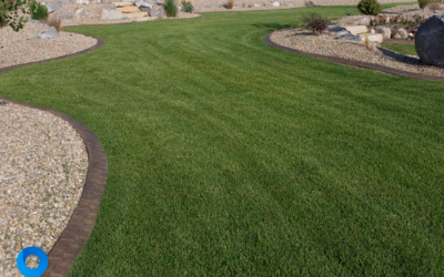 Benefits of Professional Landscaping