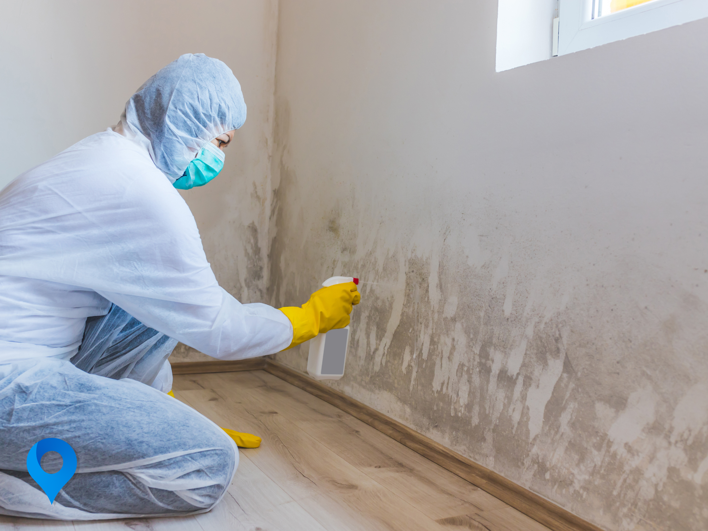 What Are the Health Risks Associated With Mold in My Murfreesboro Home, and How Can I Address Them?