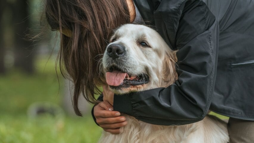 Navigating Grief After Losing a Pet