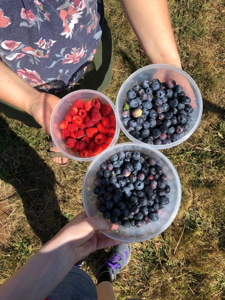 Miller Farm berries