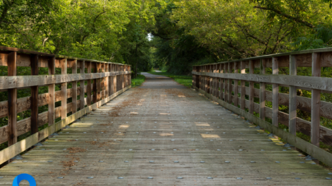 Cycling Trails for Every Biker: Discover Murfreesboro's Diverse Bike Paths