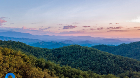 Discover the Best Outdoor Activities in Murfreesboro's Natural Settings