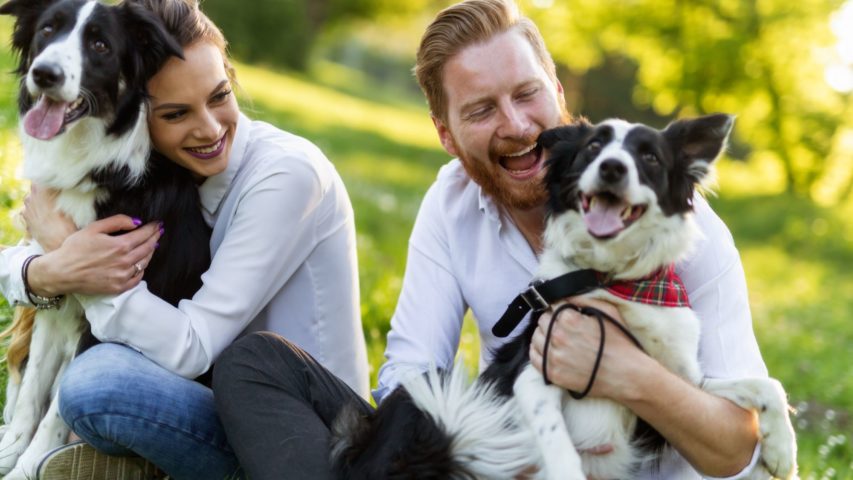 Top Mental Health Benefits of Having a Pet