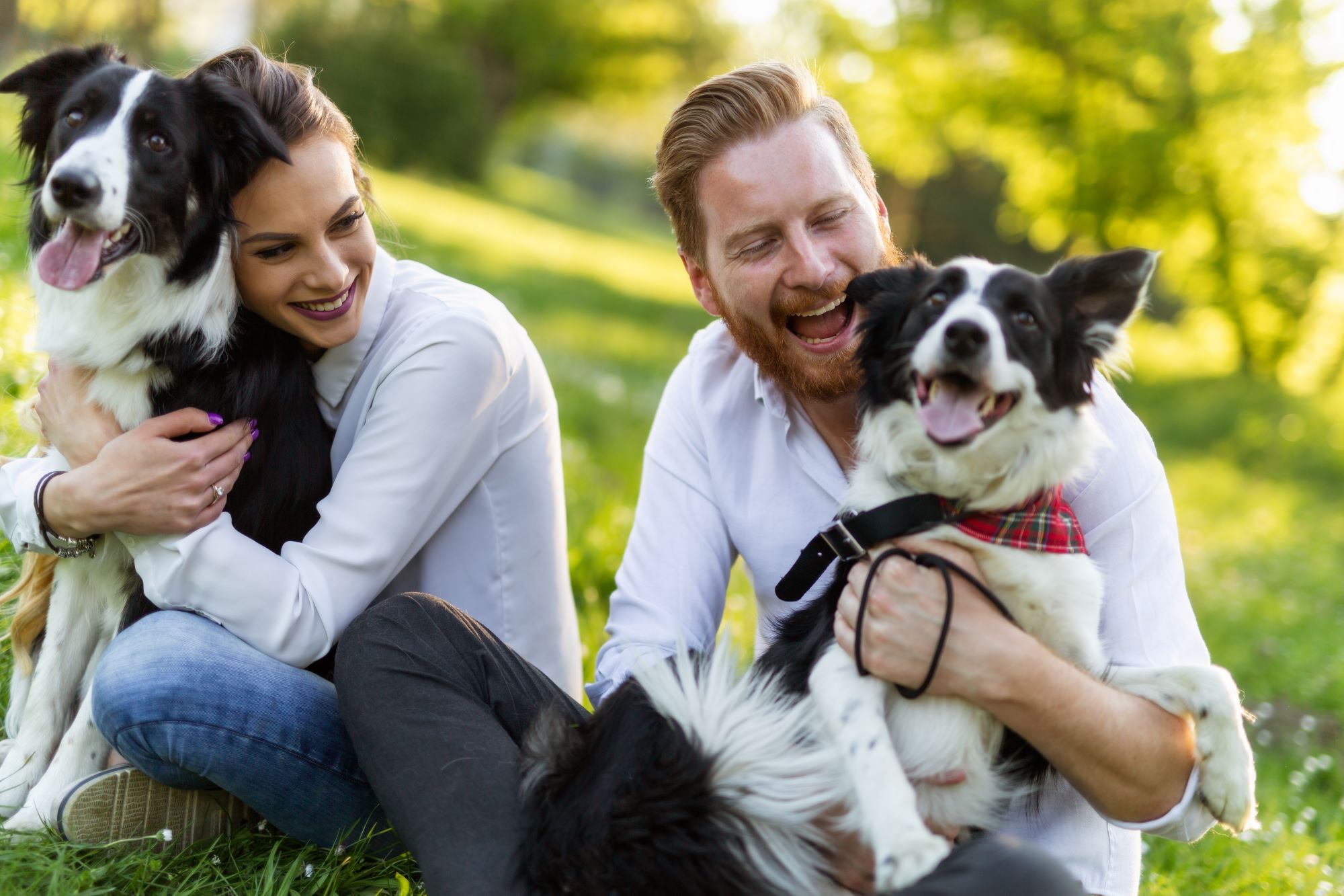 Top Mental Health Benefits of Having a Pet