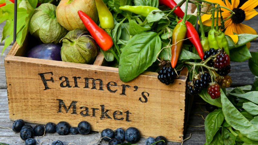 Searcy’s Weekend Lineup: Farmers’ Market, Book Release, and More