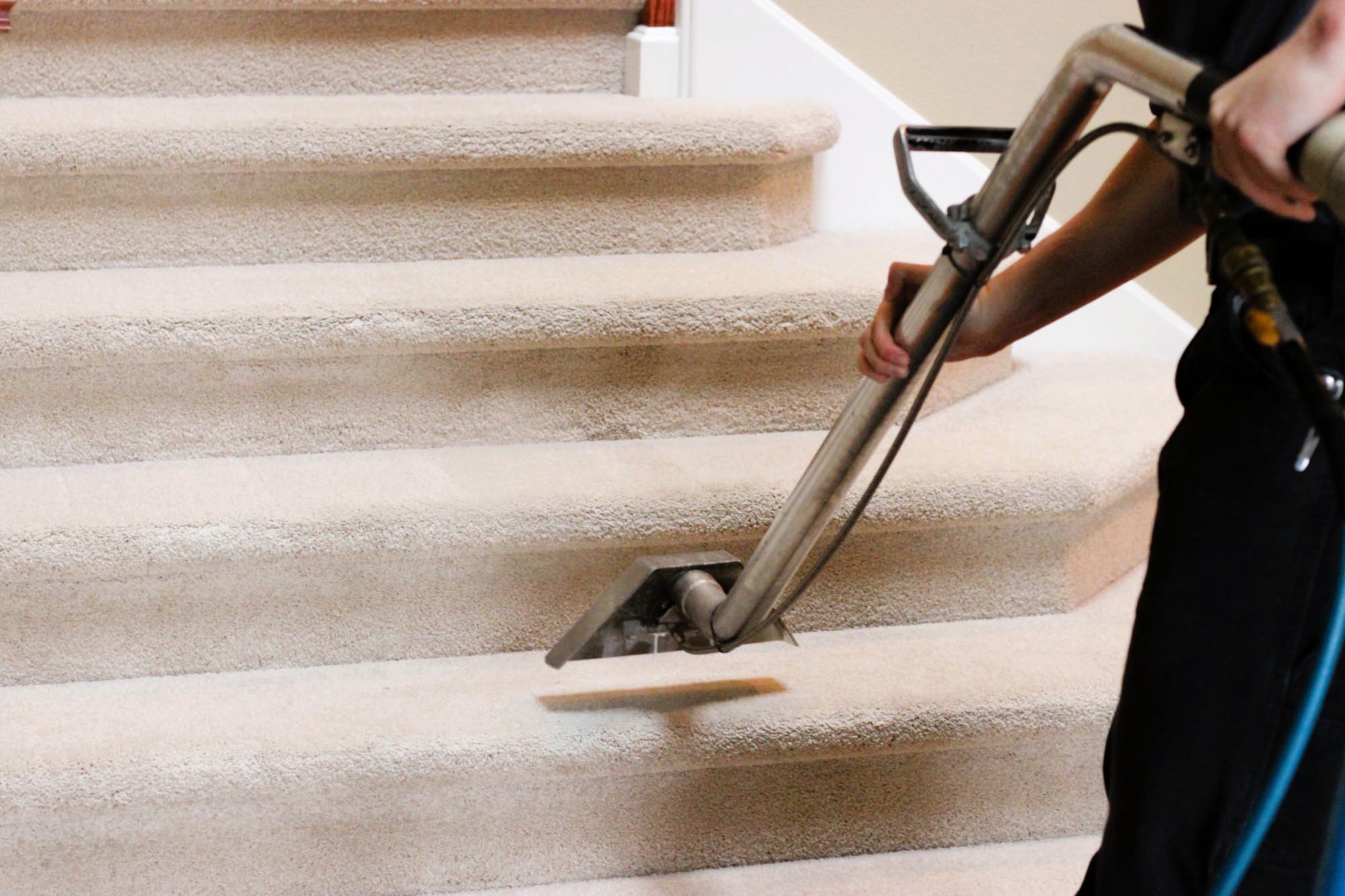 Benefits of Professional Carpet Cleaning: Why It’s Worth the Investment