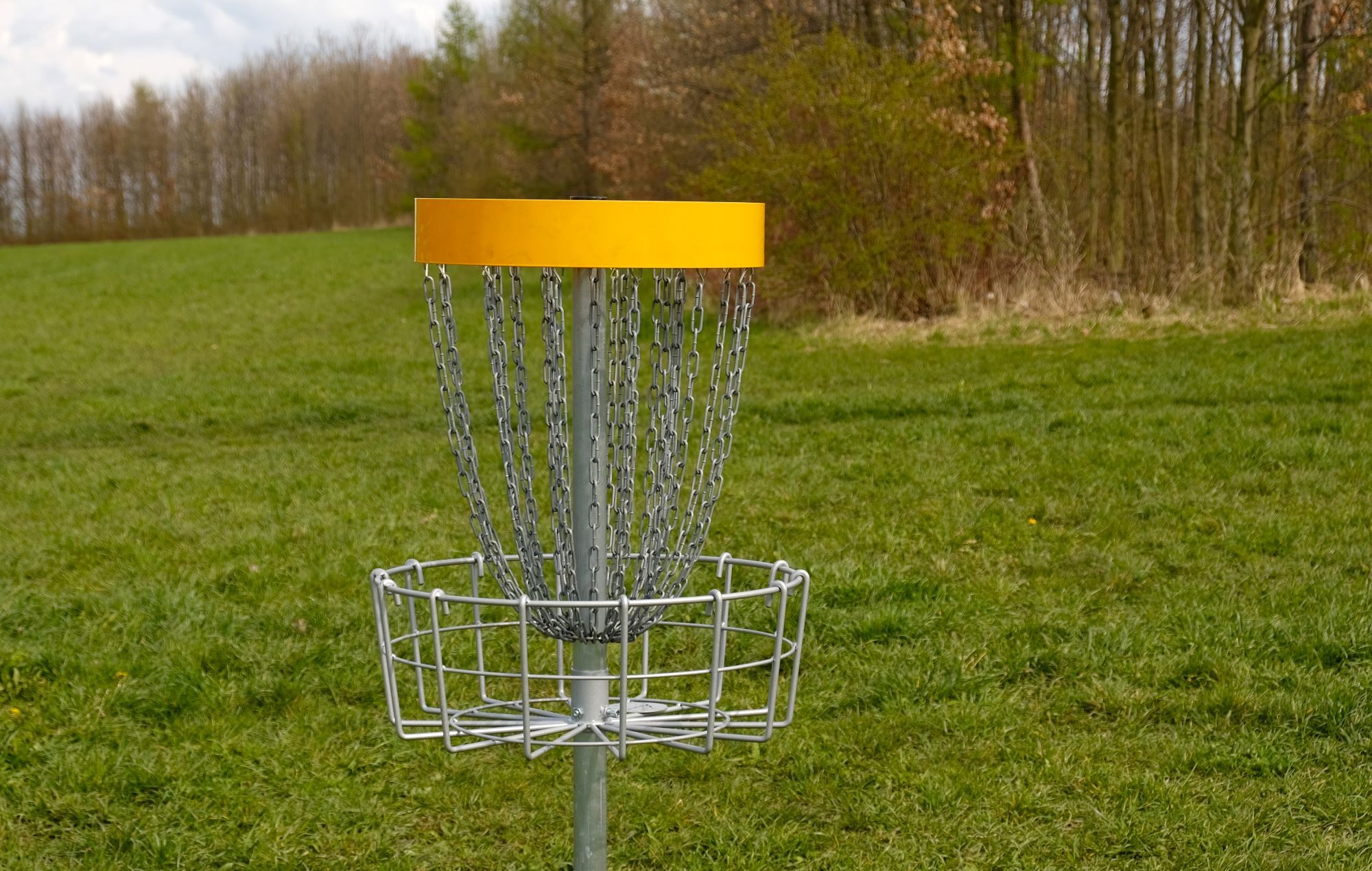 Where to Play Disc Golf around Salem, Oregon: 9 Must-Play Courses