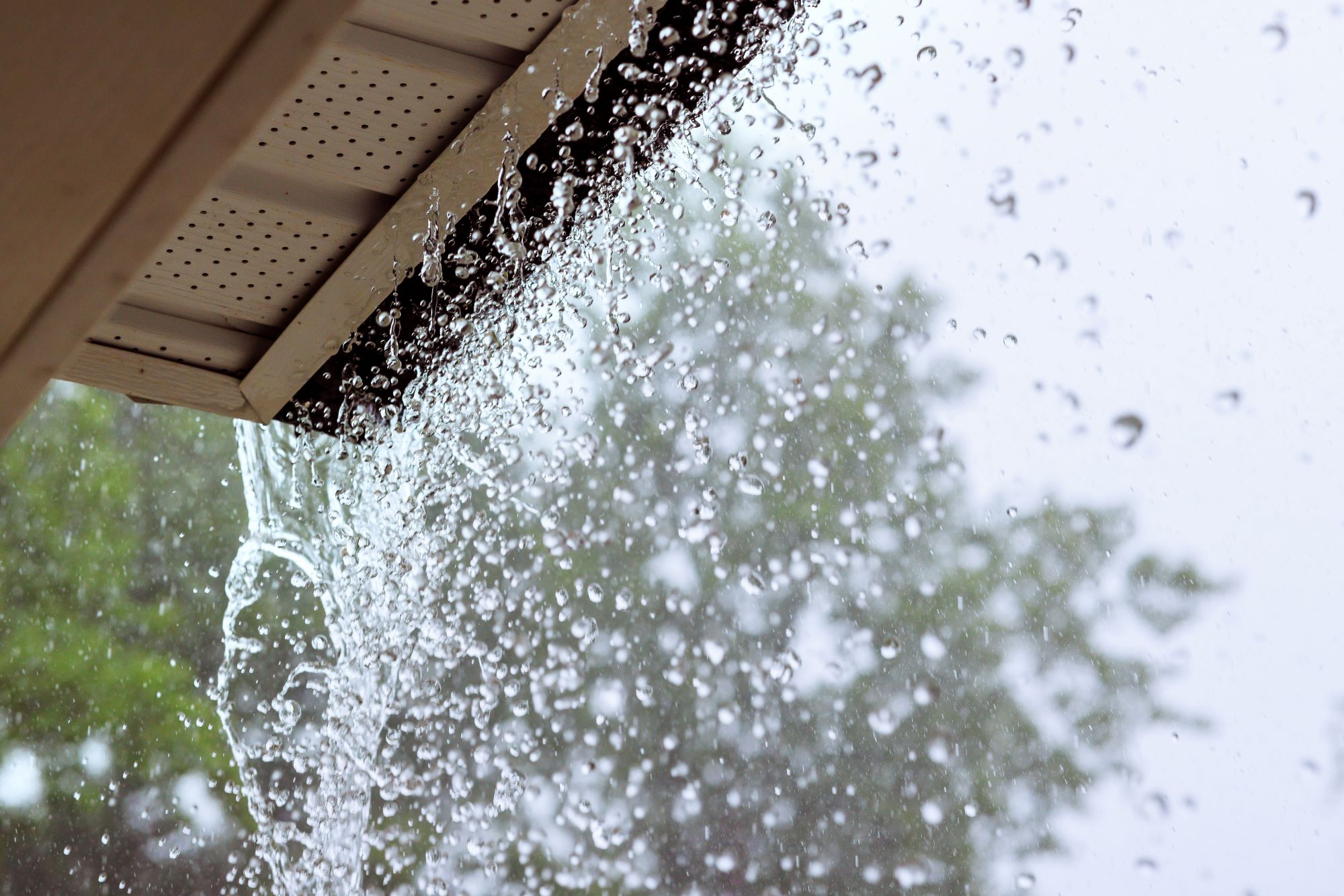 Is Your Roof Ready for Rain? Tips for Roof Inspection and Maintenance