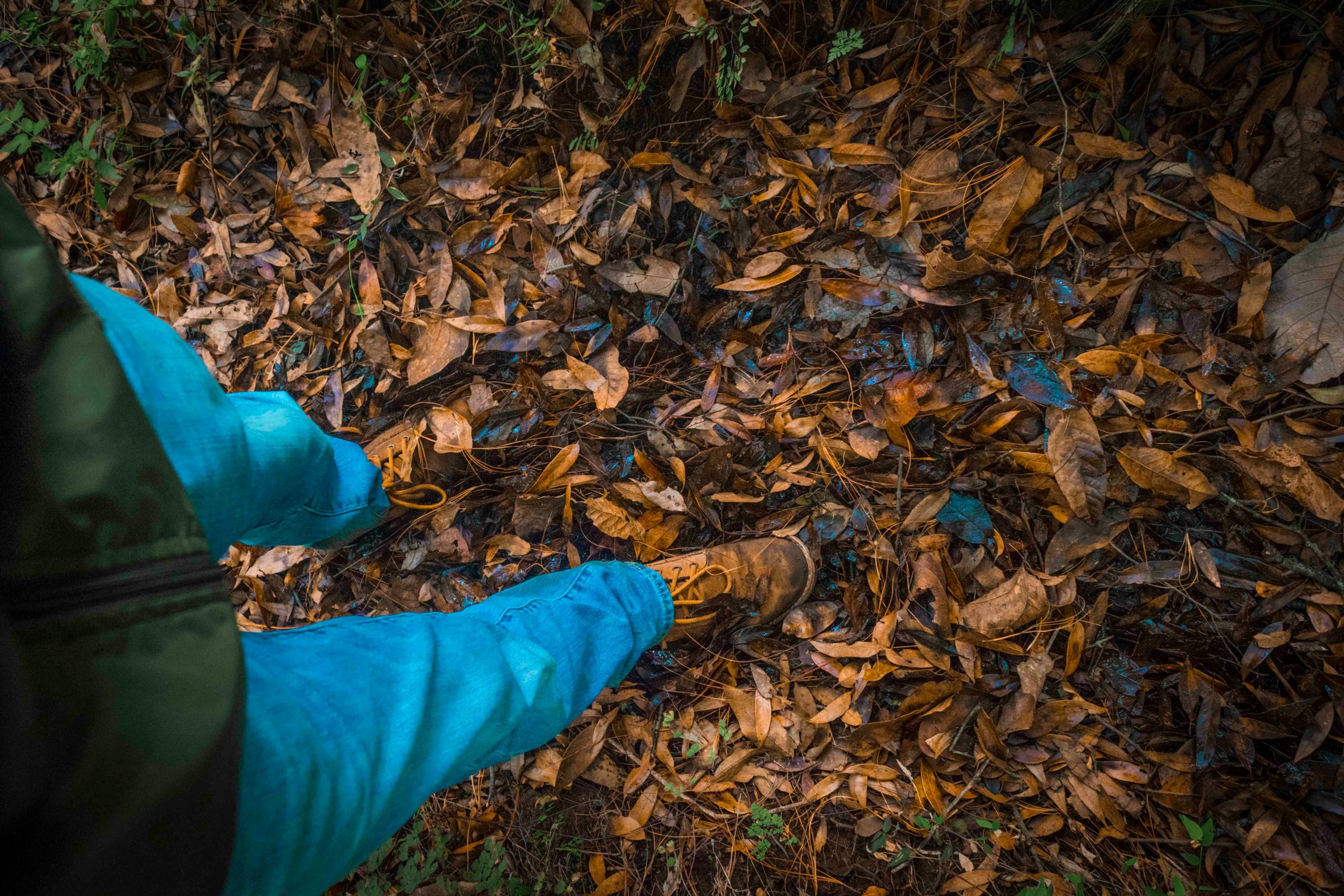 Discover These Stunning Recommended Hiking Trails for Beginners near Cabot, AR