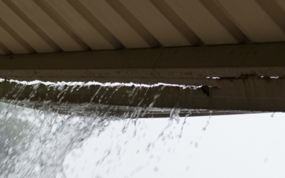 Maximizing Your Gutters Before Oregon’s Rainy Season