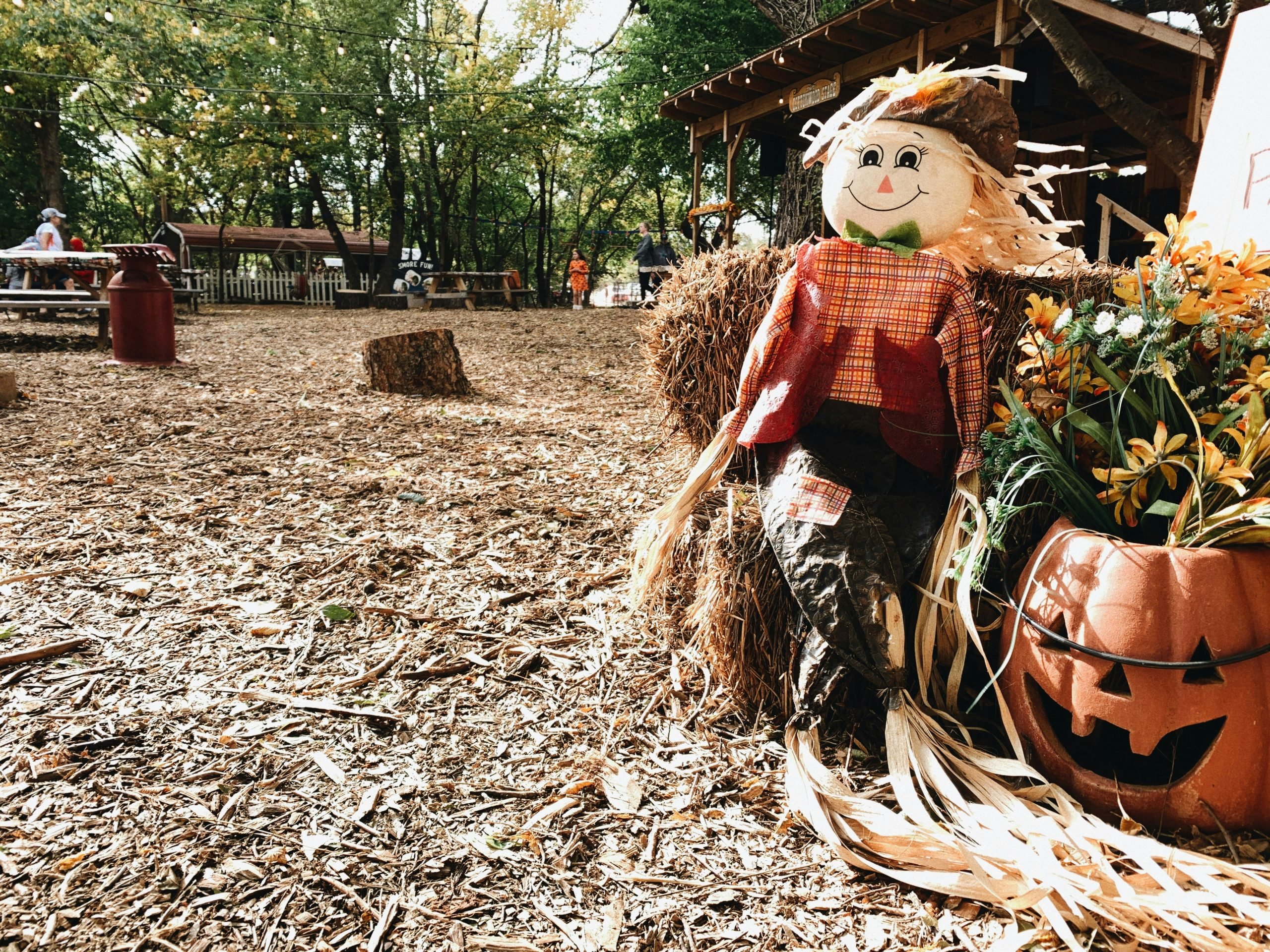 Celebrate Fall in Cabot – Ghouls' Night Out, CabotFest 2024, and More