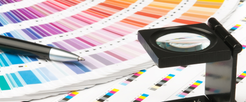 Lloyd Elam: DBS Burke