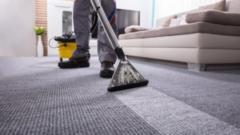 How Often Should I Schedule Professional Carpet Cleaning for My Searcy Home?