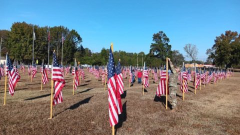 Cabot Lions Club to Host Field of Honor Flag Display This November