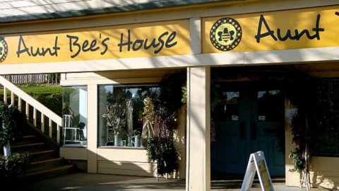 Aunt Bee’s House: A Treasure Trove of Nostalgia, Community, and Local Entrepreneurship in Salem