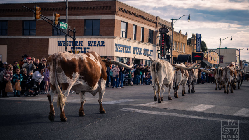 Roping, Riding, and Rich History: A Look Back at the 2024 Stockyard Stampede