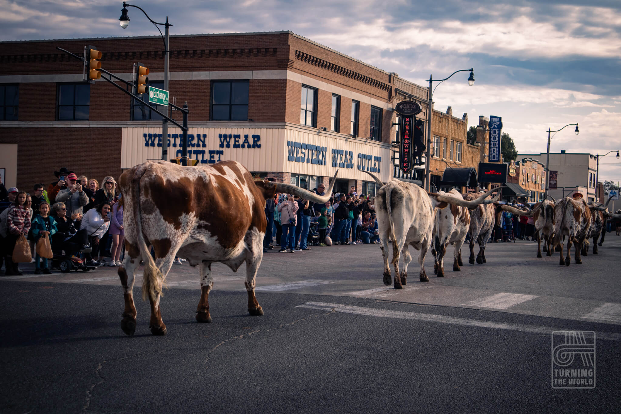 Roping, Riding, and Rich History: A Look Back at the 2024 Stockyard Stampede