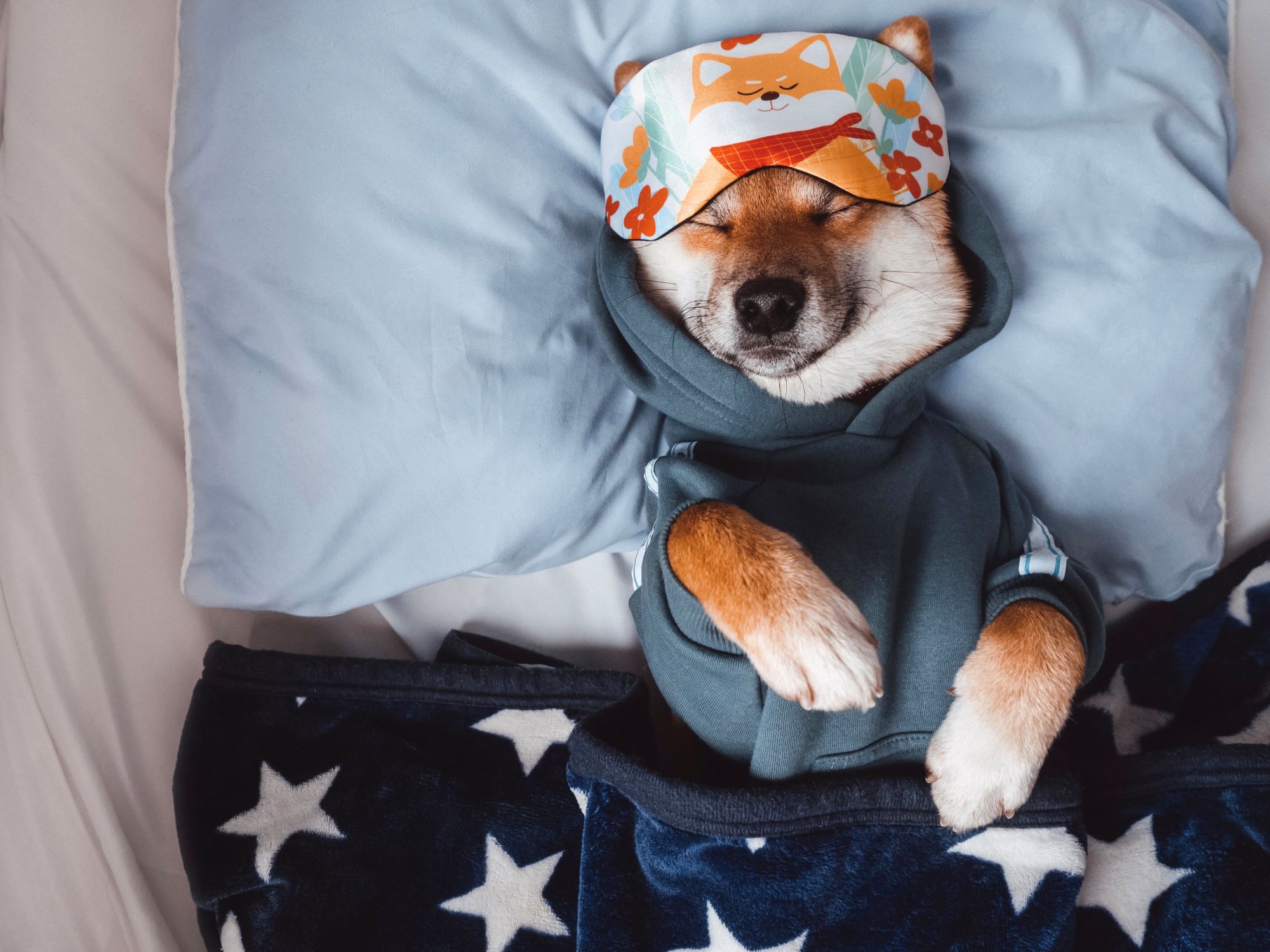 Sleep Hygiene Essentials: 7 Ways to Wind Down for Better Sleep this Fall