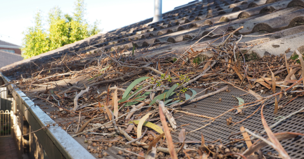 debris on roof Albany Oregon