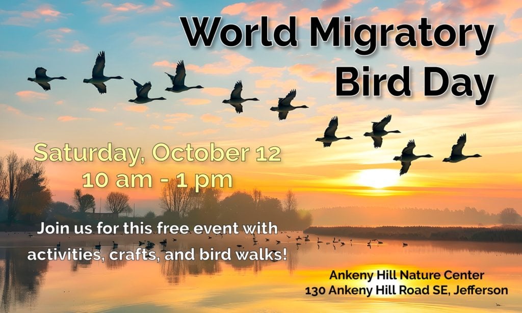 World Migratory Bird Day