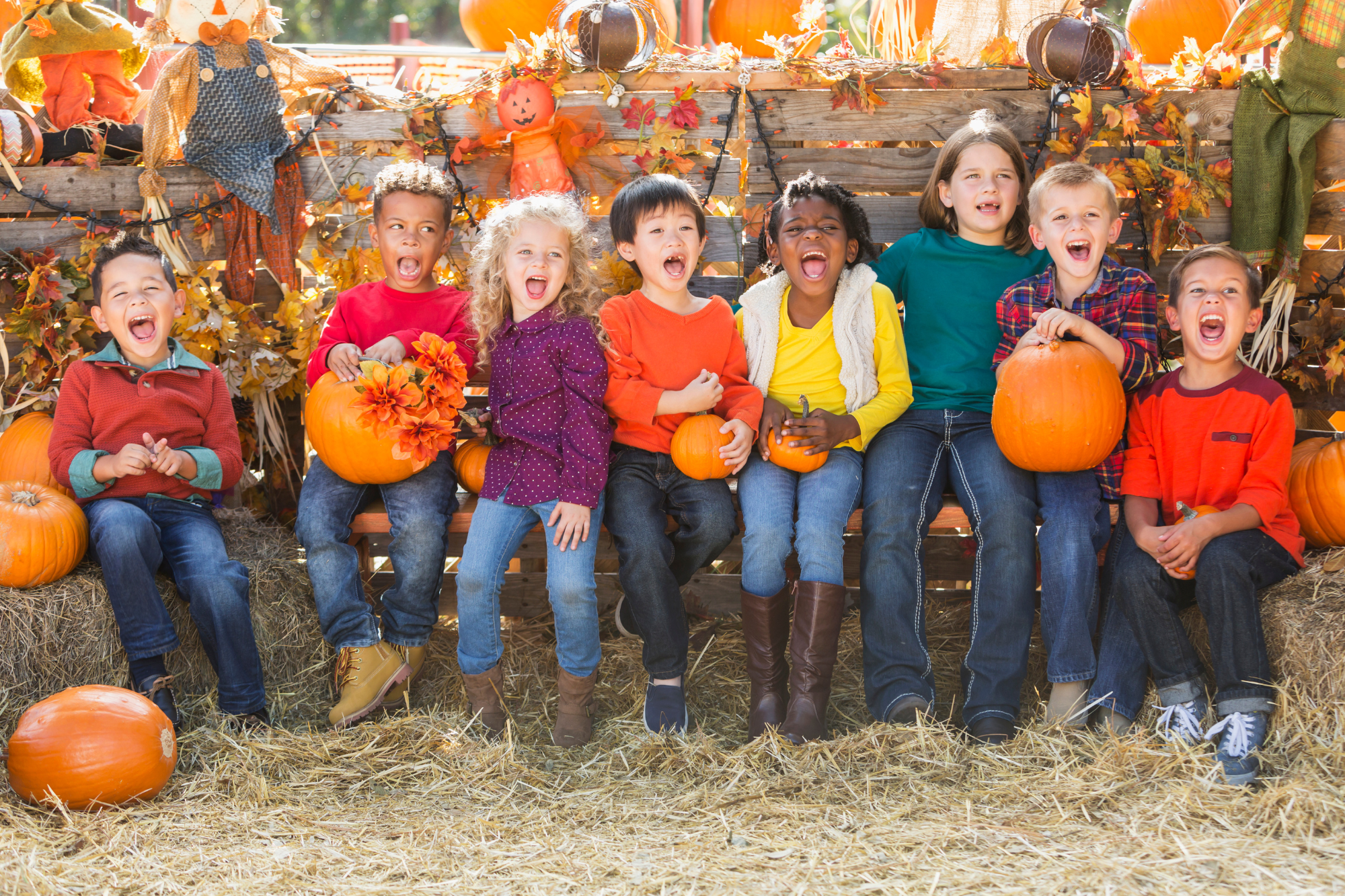 Family-Friendly Fall Events and Pumpkin Patches in Albany, OR