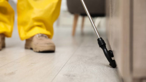 Best Pest Control Services in Cabot, AR