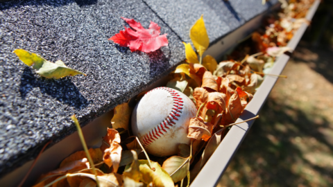 Maximizing Roof Longevity in the Willamette Valley: Seasonal Tips for Year-Round Care