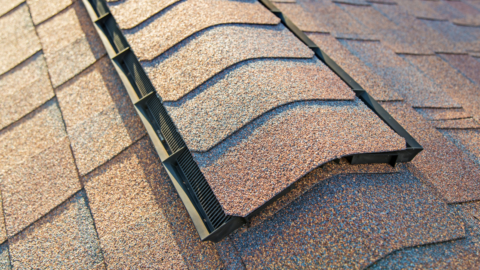 The Role of Proper Roof Ventilation in Preventing Moisture and Mold in the Willamette Valley