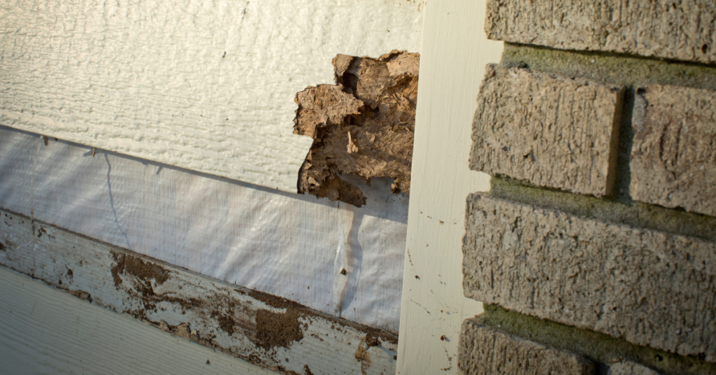 siding preparations for winter