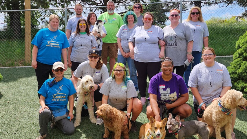 Building Trust, One Paw at a Time: How Midwest Pet Sitter Affiliates is Transforming Pet Care in Omaha