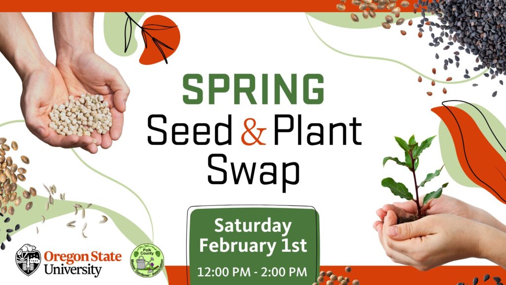 Spring Seed and Plant Swap