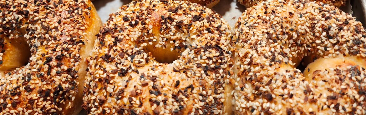 Omaha Bagel Co.: A Homegrown Business with Big Ambitions