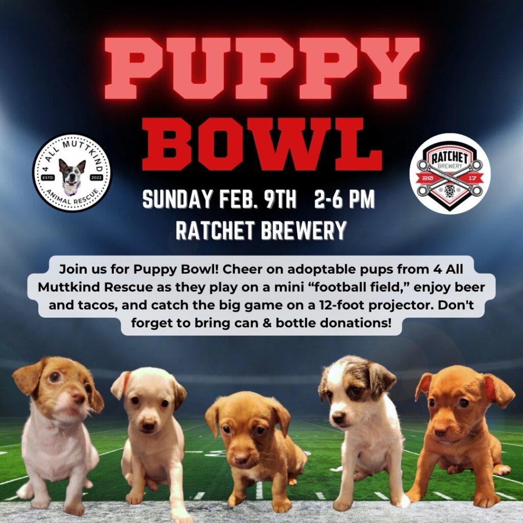 Puppy Bowl at Ratchet 