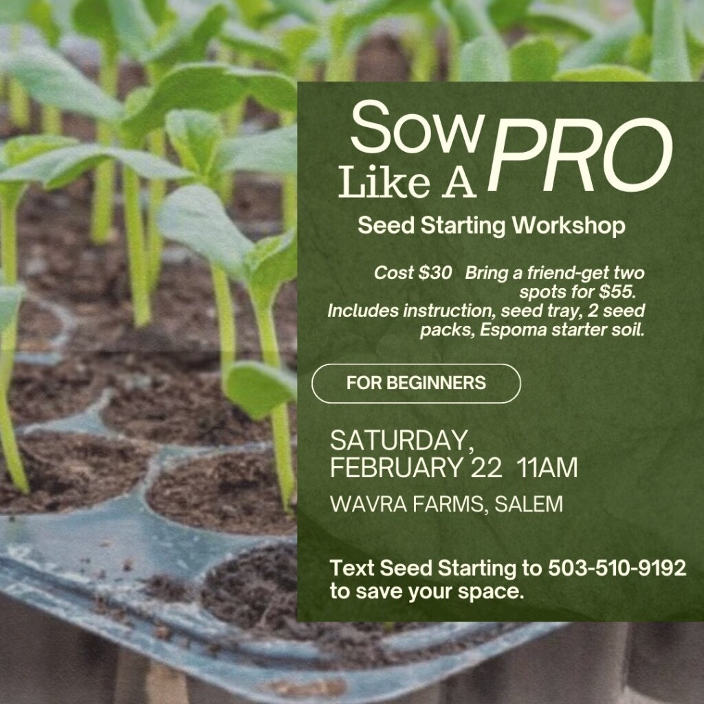 sow like a pro workshop