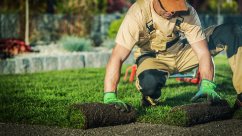 5 Landscaping Companies in Albany, Oregon to Spruce Up Your Yard