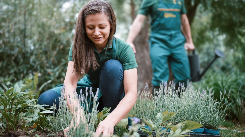 How Smart Landscaping Adds Value to Your Home in Lexington, KY