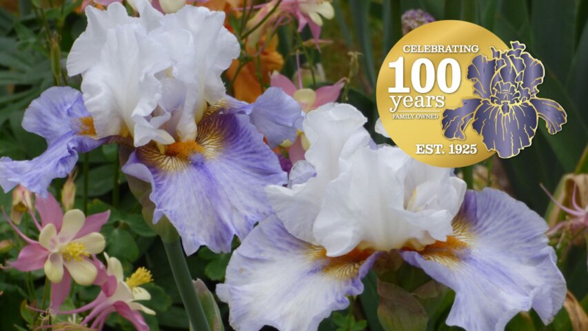 Things to do in Salem, Oregon // May 2 – 4, 2025