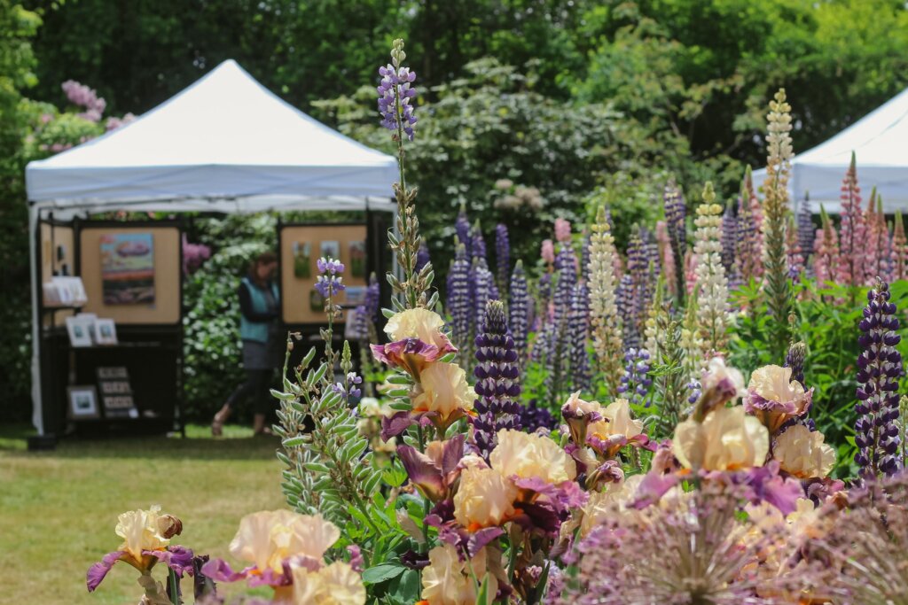 Artist Fair at Schreiner's