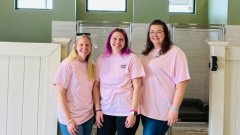 Introducing Canine Social: Troy's Newest Upscale Doggie Daycare, Boarding and Grooming!