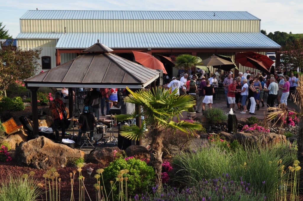 Cubanisimo Vineyards