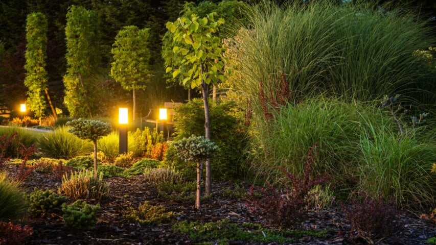 How Outdoor Lighting Can Elevate Your Landscaping