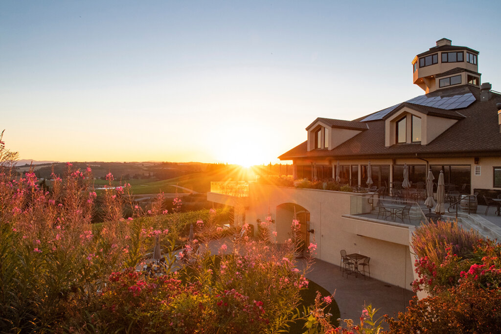 willamette valley vineyards at sunset