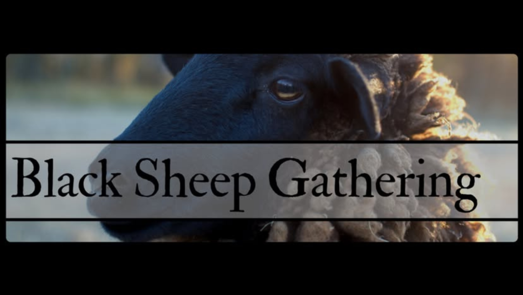 Black Sheep Gathering Albany OR