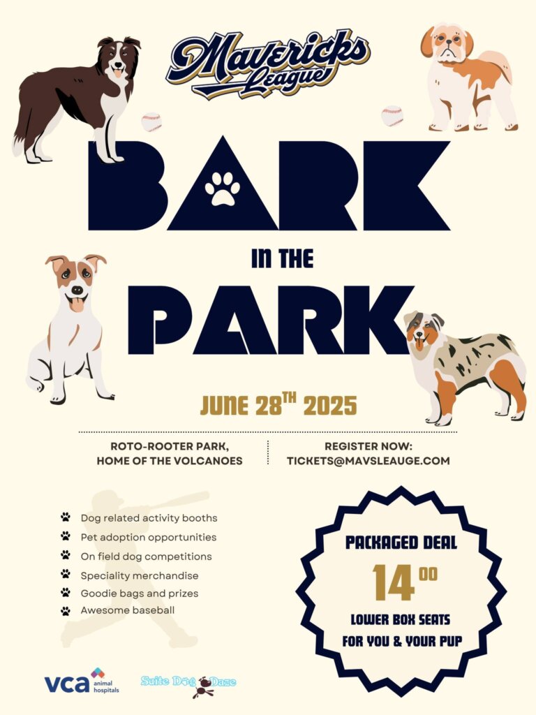 bark in the park